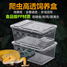 爬宠H9H10饲养盒角蛙爬虫蛇蜘蛛爬宠蜥蜴乌龟冬眠箱寄居蟹昆虫盒