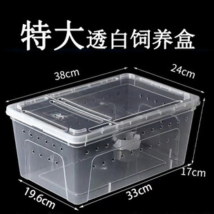 �ش���B�����l�������Q����֩������،m�����挙�������x������