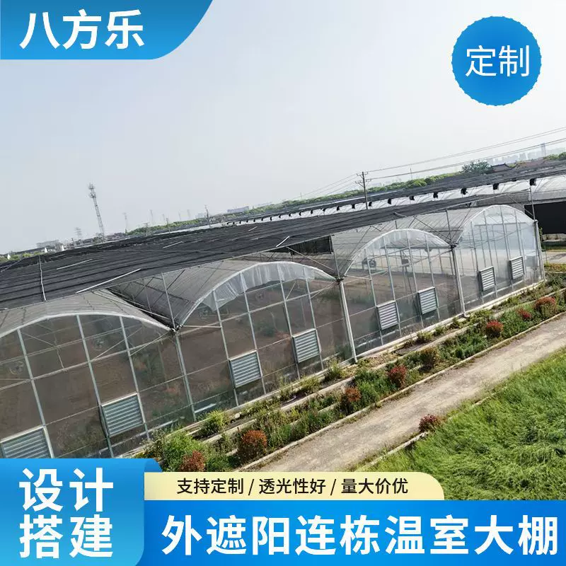 厂家全套定制外遮阳连栋大棚蔬菜种植温室棚连体简易棚厂家直销