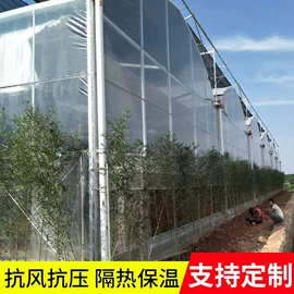 温室、大棚;农用遮阳网;镀锌管