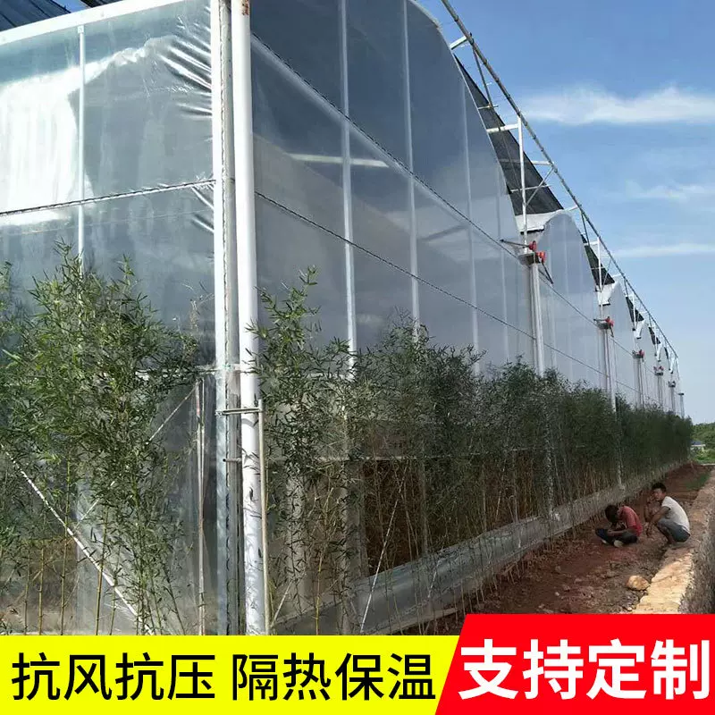 连栋单体大棚日光温室草莓养殖育苗棚连栋钢架骨架养殖大棚定  制