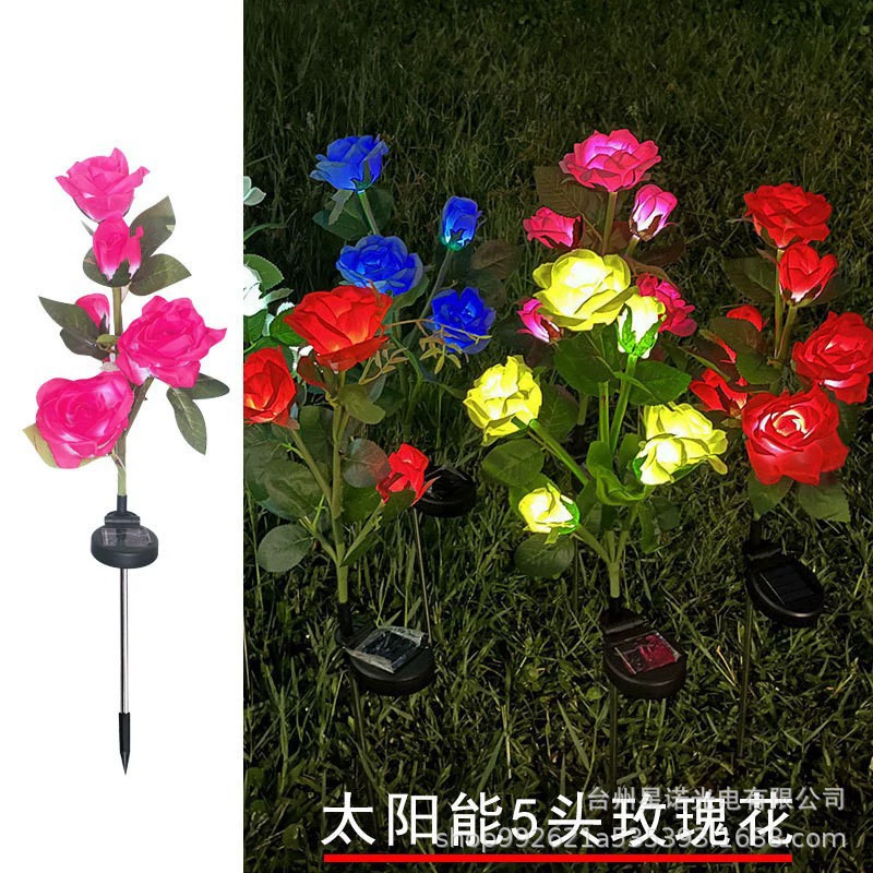 핑크색 다섯 머리 장미