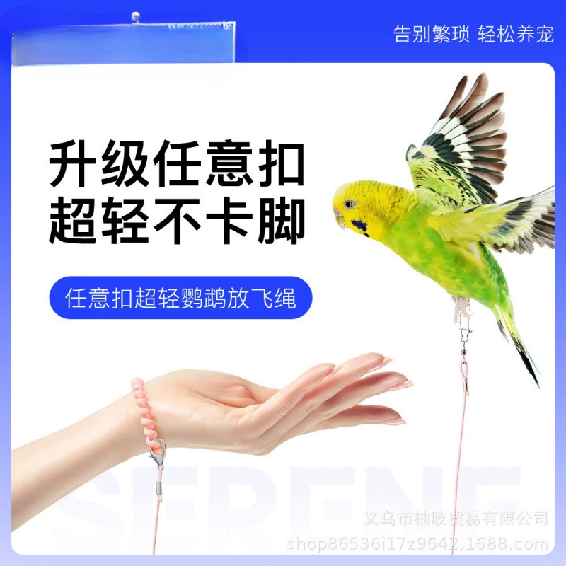 Вольер для волнистых попугаев открыт и они свободно ходят по нему. Тяговый браслет для волнистых попугаев, пионов и черного феникса.