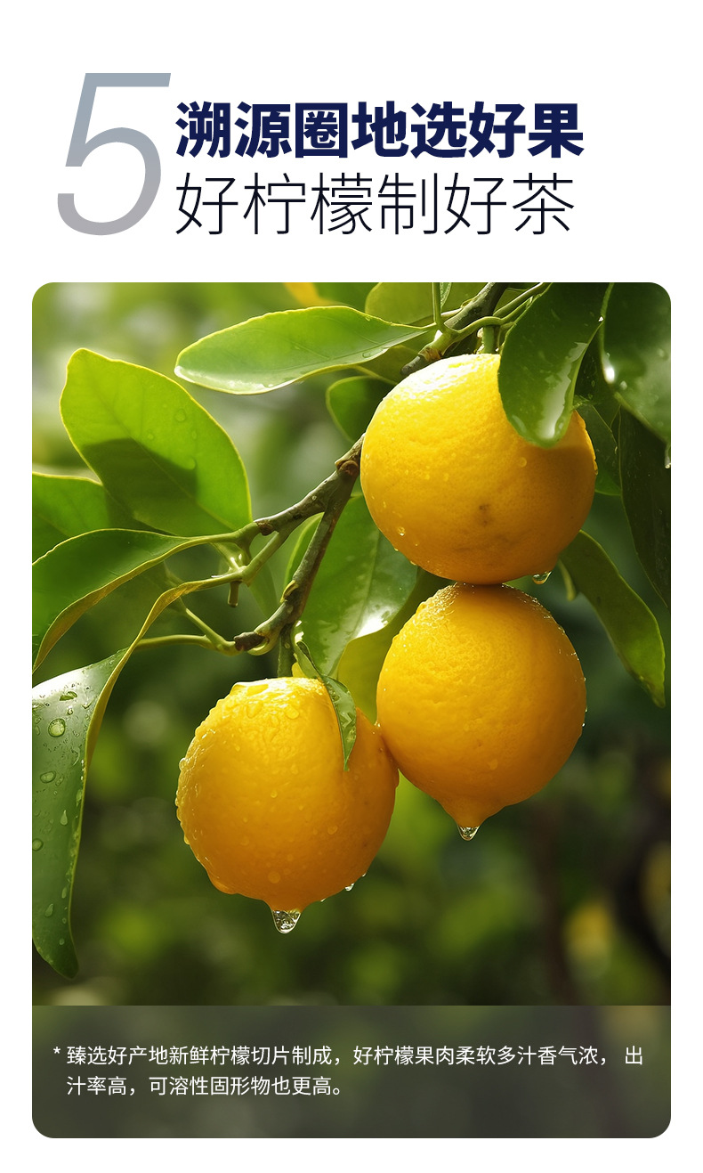 Freeze Dried Lemon Slices 50g Ning'an Bao Lemon Herbal Tea for Drinking specifications