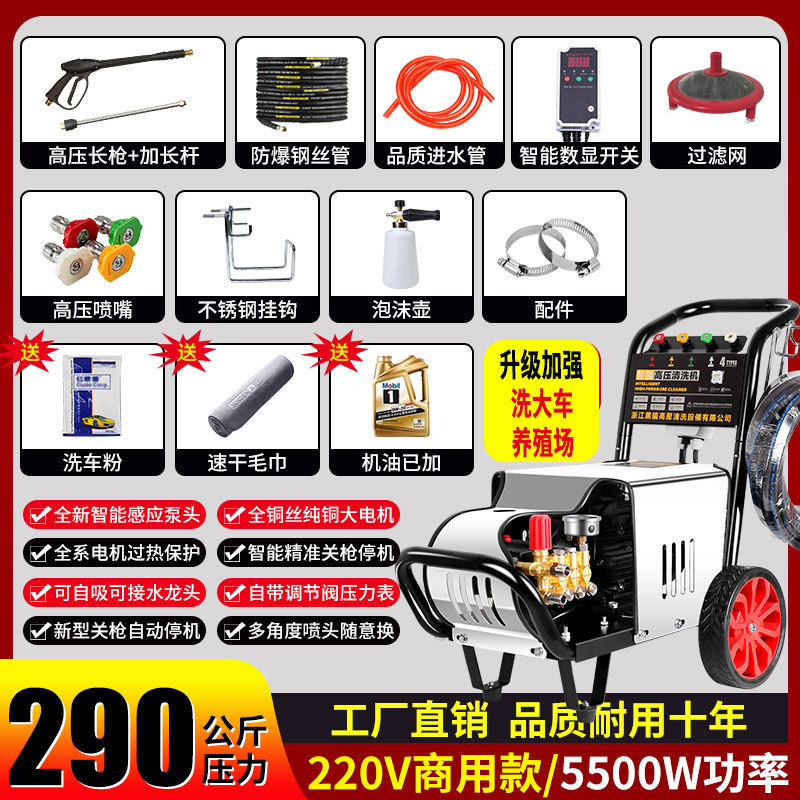 Negro gato industrial comercial ultra-alta presión lavadora de coches domésticos de alta potencia Granja tienda de lavado de coches automática 220V