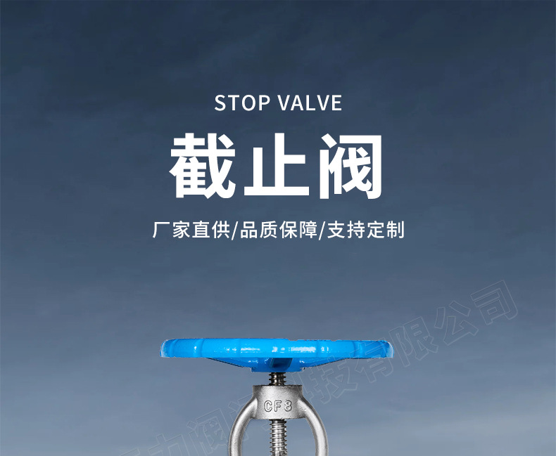 O1CN01TcAwT21kjM4YV6Rik_!!2219421534719-0-cib.jpg?__r__=1741148549368