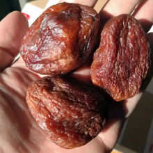 新疆特产树上吊干大丑杏杏干风干杏休闲零食500g袋批发