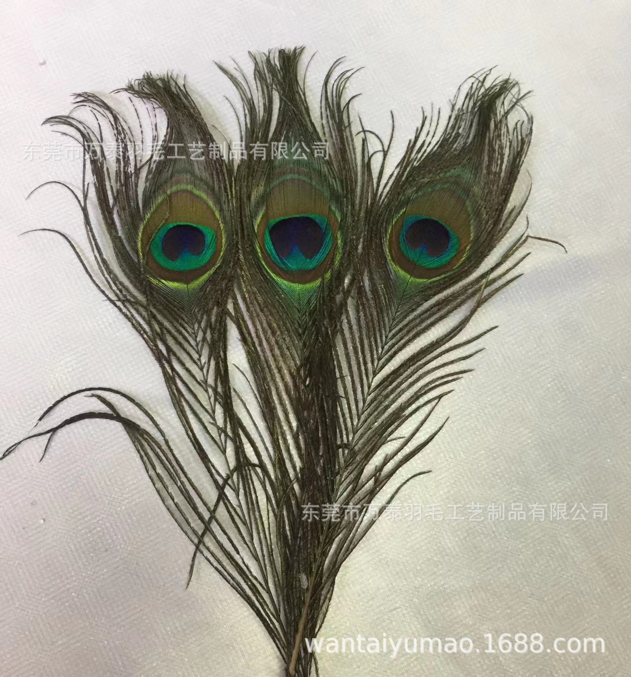 微信图片_20230216170810.jpg