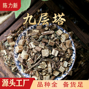 �_�� �m��� �Ō��� �𲻓Q����� �a��؛Դ ���N�䱳