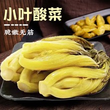 云南丽州小叶酸菜脆嫩无筋鱼酸菜鱼米线老坛子腌餐饮颗芥商用