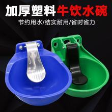 大号加厚塑料牛饮水碗 牛自动饮水器 牛用饮水槽牛水碗式饮水器
