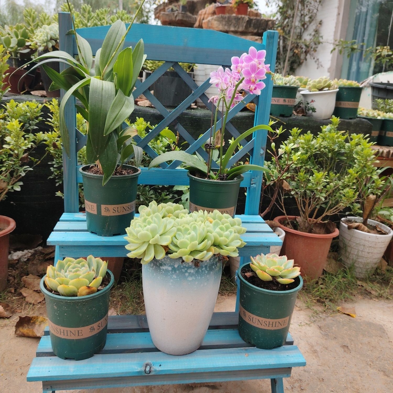 네트워크 사다리 꽃꽂이 레트로 블루