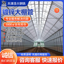 天津镀锌大棚管折弯 蔬菜西瓜大棚温室大棚管大棚骨架 热镀锌管