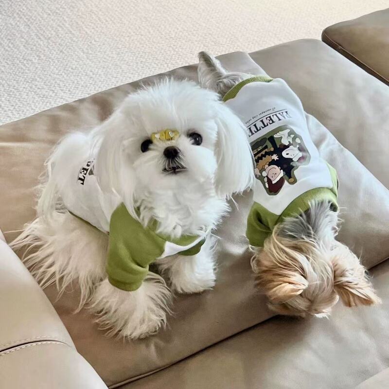 Small Dog Clothes Drawstring Hooded Sweatshirt Spring New Small Size Dogs Puppy Pomeranian Teddy Panda Cat Clothes