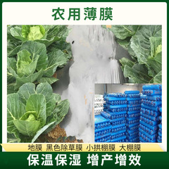 地膜批發白色透明農用保溫塑料薄膜生產西瓜花生育秧膜廠家5公斤