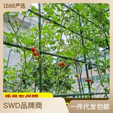 工廠代發園藝包塑鋼管番茄植物支架爬藤花架包塑藤蔓支架黃瓜爬藤