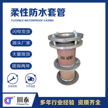 02S404�D��A��B�����Է�ˮ�׹܏S�ҽ��B��ע�A��ֹˮ�ɶ���̩