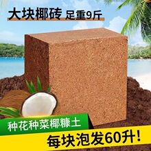9���KҬ�u�I�B���B����Ҭ�Ӛ�����Ү�u�N������Ó�}Ҭ���u