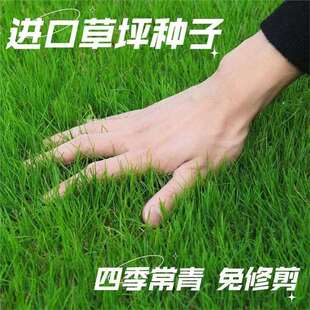 ��ƺ���Ѳ�ƺ�N���ļ����ఫ���ͺ��������R�����������o�²ݾG��