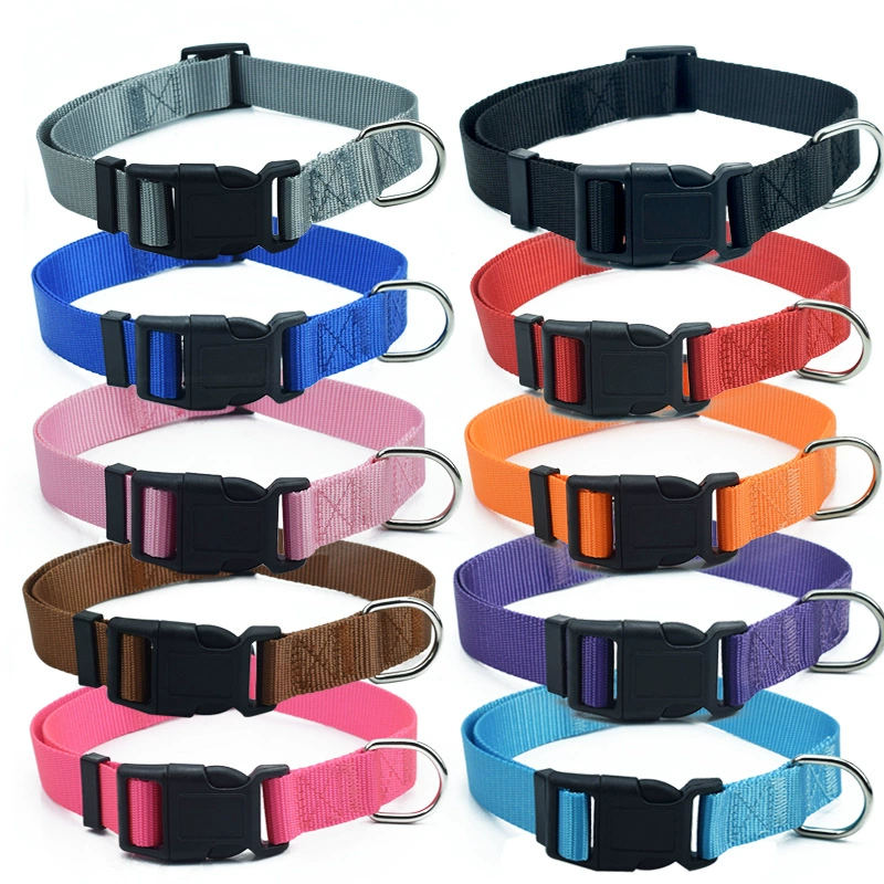 Трансграничный источник регулируемый ошейник для домашних животных Чистый цвет нейлоновый ошейник для собак