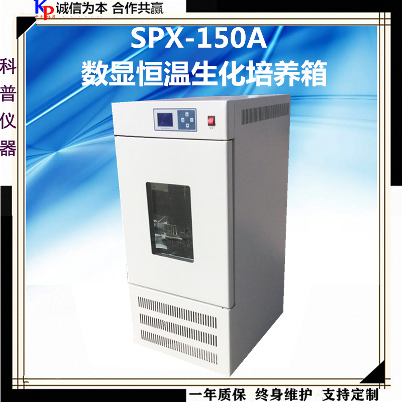 生化培养箱150升普通款数显恒温科普SPX-150A智能恒温