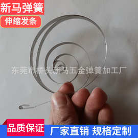 厂家定制不锈钢数据线收缩发条伸缩线车充发条弹簧车载充电器卷簧