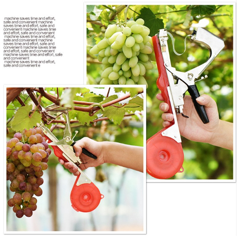 O1CN010Y6Tr61S345PDhk3W_!!2209