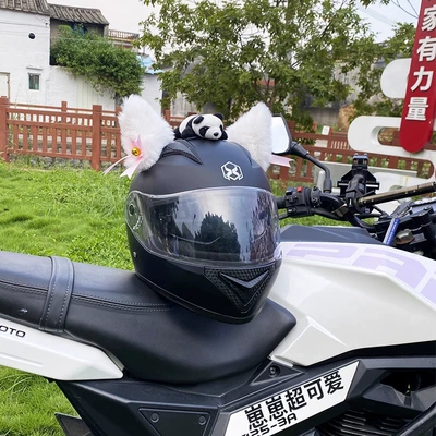 Car Ski Helmet, Universal Auto Parts and Accessories