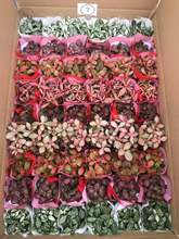 ����ֱ�� ���Ի��ܾW�y��̦�\΢���^����ֲ�� ����W�y�ݻ��b