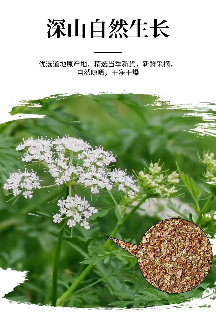 She Chuang Zi (Cnidium monnieri) — Dried Fruit for Foot Soak & Herbal Use, 500g overview