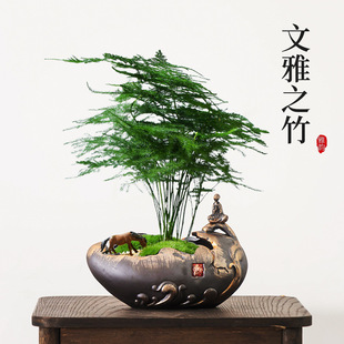 ��ʽ��ʯ�����辰�U���մɼ��þGֲ�_�h��͸������������[��