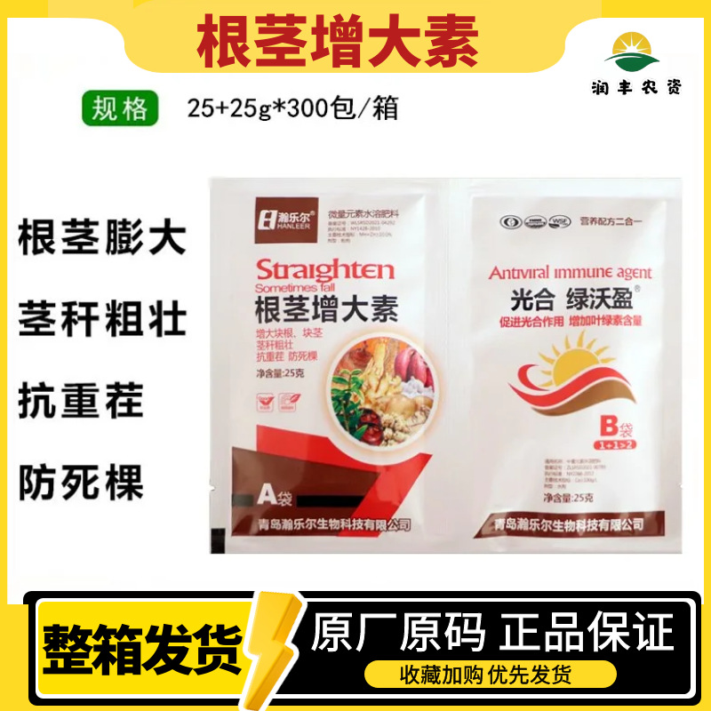 根茎膨大 粗跟壮苗膨大根茎 生姜大蒜葱土豆地瓜山药香芋红薯洋芋