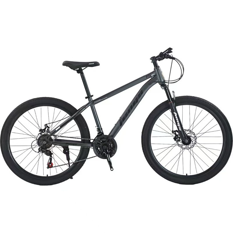 Mountain quality Phoenix, bike, bearing
