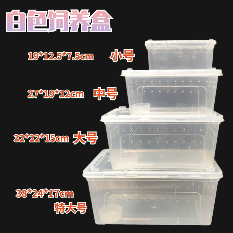 Ящик для кормления домашних животных ящик для насекомых угол лягушка дворец охранник ящерица змея ползает домашнее животное ящик для кормления черепахи бак-амфибия