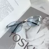Light silver frame