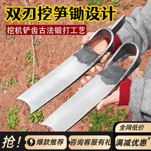 �ڹS�z�^������ֹ�呴��ڶ��S�ژ�������z������䓷N���r�S��