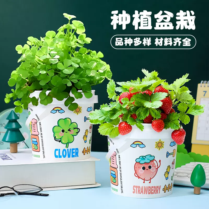 儿童盆栽水培蔬菜盒幼儿园盆景室内摆件趣味室内植物绿植种植学生