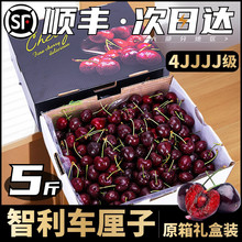 ����܇�������rˮ�����]5��Y���b���������ЋD�M�ڙ���3j4j5j��