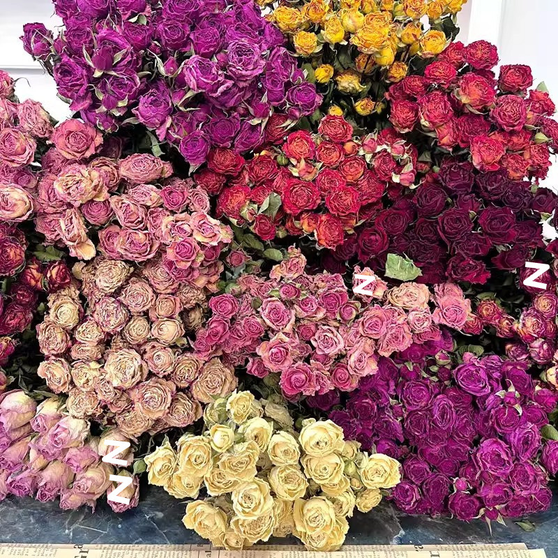 cd889c30-4e10-4c6b-81c7-dd865542782d.jpe