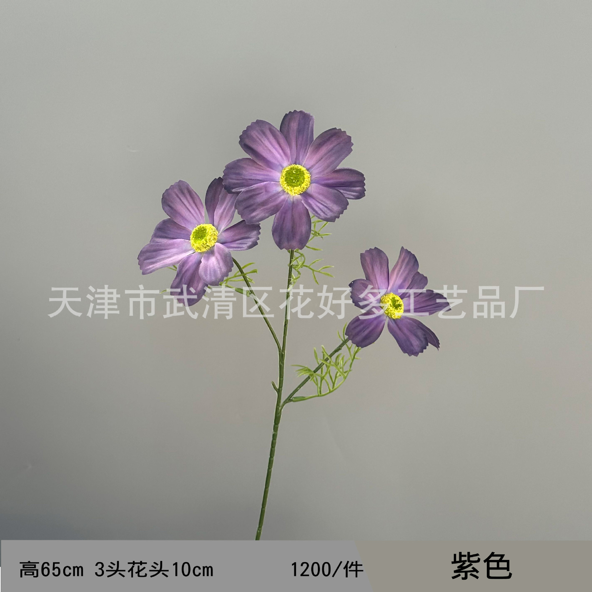 보라