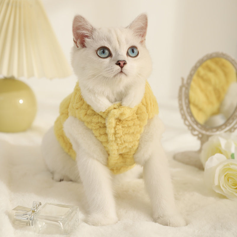 Pet cat dog clothes anti-hair fall winter silver gradual puppet cat kitten feet plush cotton-padded clothes wholesale
