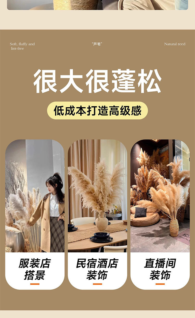 3692d755-15e6-4779-9802-577de5af19ef.jpe