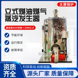 燃气锅炉;蒸汽发生器;燃生物质锅炉