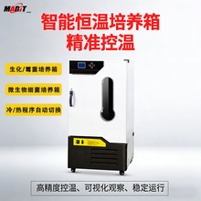 实验室精准控温霉菌培养箱智能数显恒温恒湿微生物种子发芽实验箱