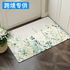 跨境小清新進門口防滑腳墊家用入戶門地墊玄關門墊地毯耐髒墊子