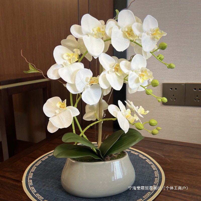 客厅电视柜假花中式摆件兰花盆栽盆花新款蝴蝶兰陶瓷套装白色紫色