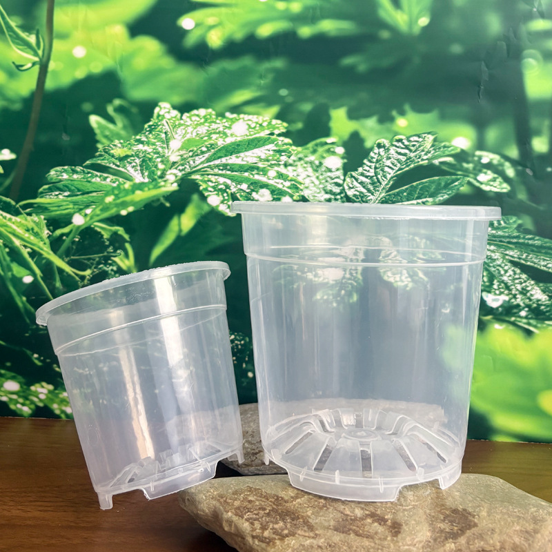 Transparent Hard Plastic Flower Pot, Highly Transparent and Thickened Orchid Pot, Dendrobium, Succulent Rose, Butterfly Orchid Breathable Pot