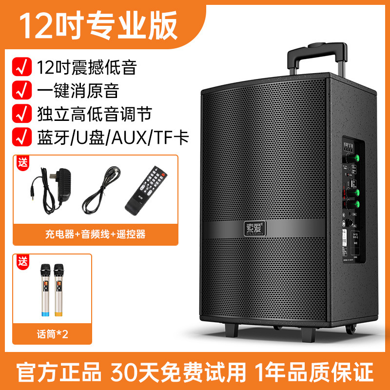 Soei F36 Square Dance Audio Show Outdoor K Dance 15 pulgadas barra móvil altavoz Bluetooth con micrófono