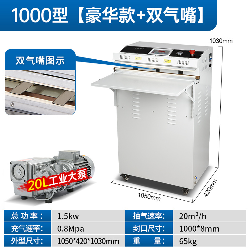 1000 (painted version) double valve