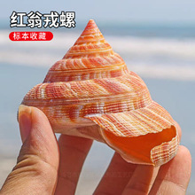 ��Ȼ����ؐ��ϡ�мt�����ݘ˱��ղ��~���쾰ˮ�����b[���ͶY